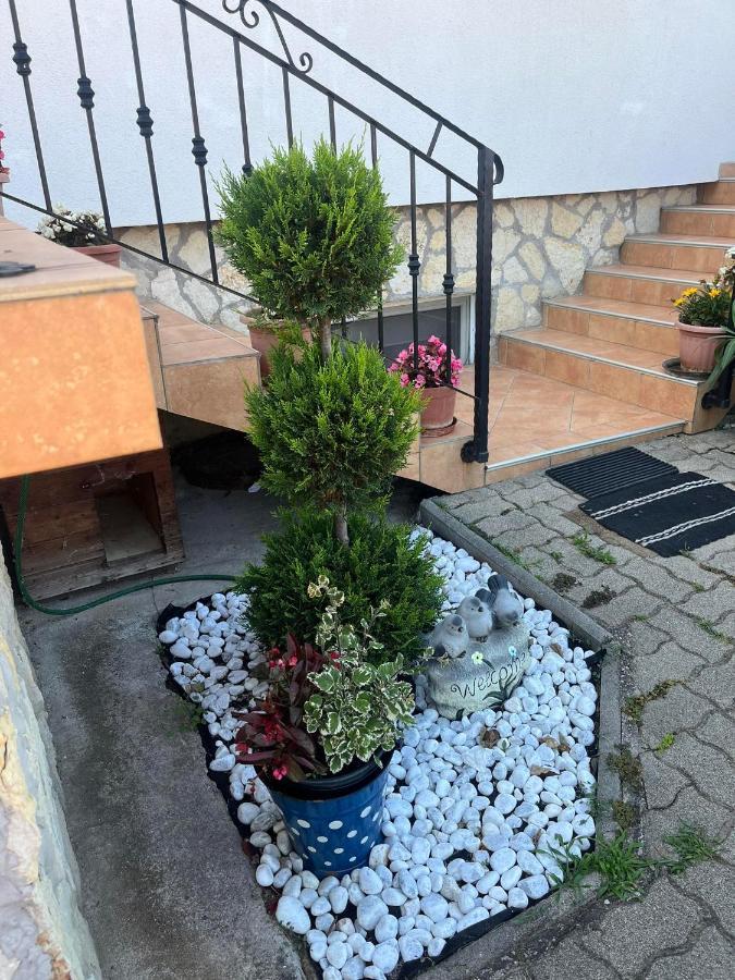 Rege Apartman Alsóörs Dış mekan fotoğraf